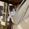 の写真