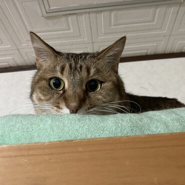 の写真