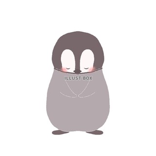 ゴールデンハムスターのキッズ達