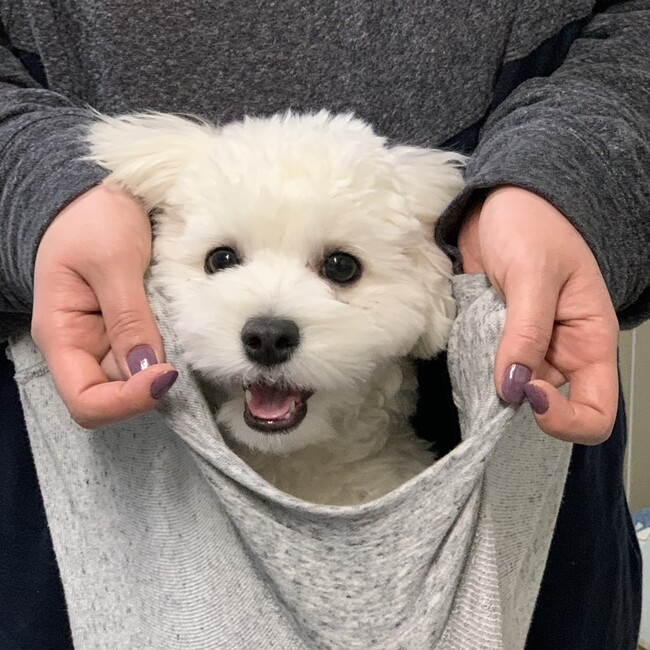 K.MINORIのカバー写真
