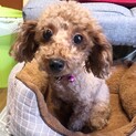 大人しくて控えめな甘えん坊のららちゃん♪