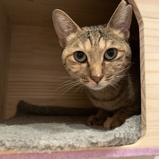 甘えん坊なフロちゃん♪