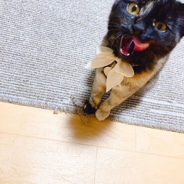 ノビル