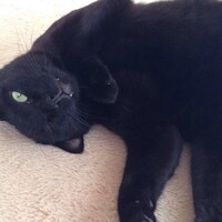 クロ