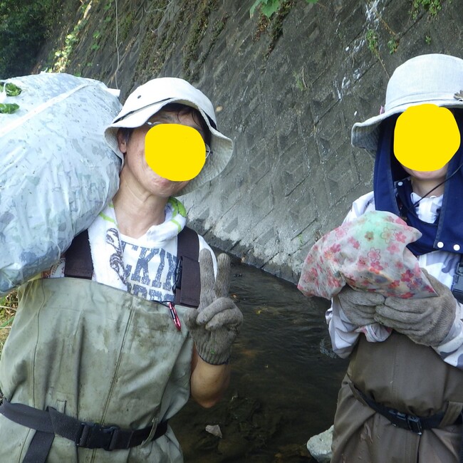 かめさんの輪（かめりん）♪のカバー写真