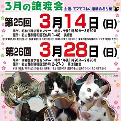 猫の譲渡会　in　名古屋市瑞穂生涯学習センター