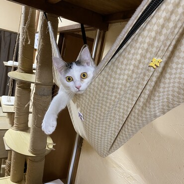 の写真