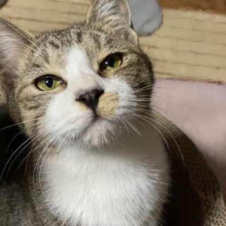 元気いっぱい♡まゆくん