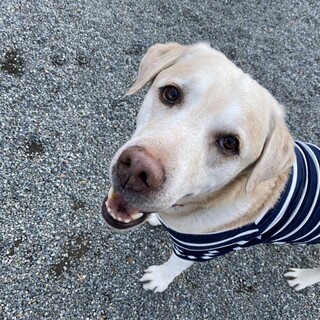 ビビリな甘ったれボーイケニーくん