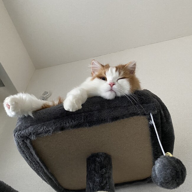 __chacha24のカバー写真