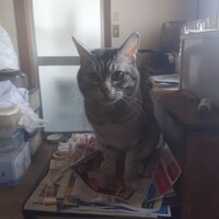 あめ