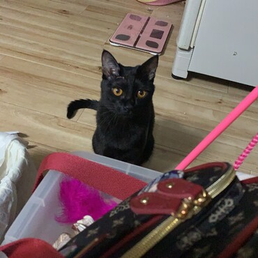 の写真