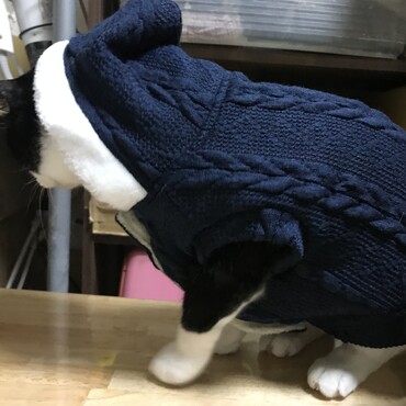 少しぶかぶか、あとでお直ししました。