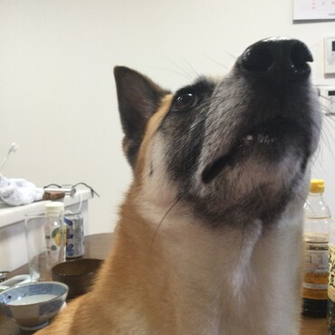 の写真