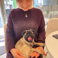 りんしゃん