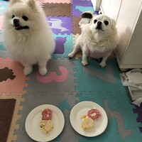 こや　こたろう