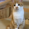 クリクリお目目♡シータちゃん