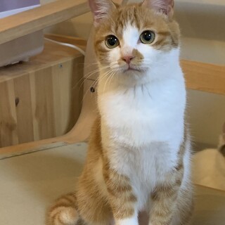 クリクリお目目♡シータちゃん