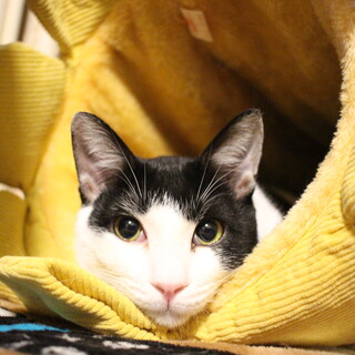 中国のミッキー！？