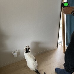 「ユズコさん、闘病中？も現場監督」サムネイル2