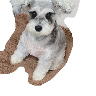 募集を一時停止します。