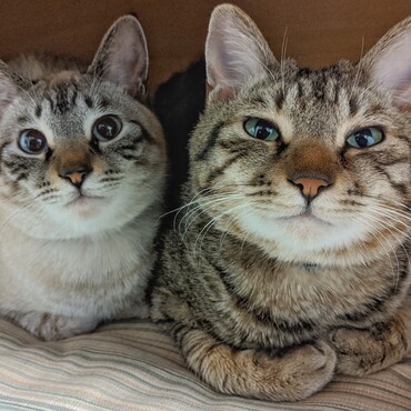 の写真