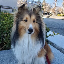 もうひと踏ん張りしましょう