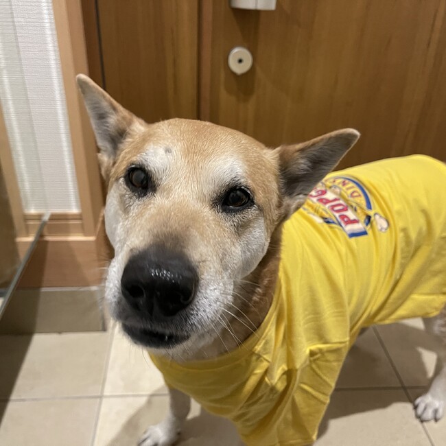 kajikaji23のカバー写真