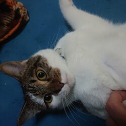 「生後１０ヶ月」サムネイル1