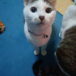 「生後１０ヶ月」サムネイル2