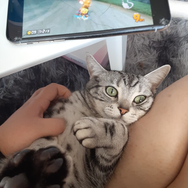 祐碼のカバー写真