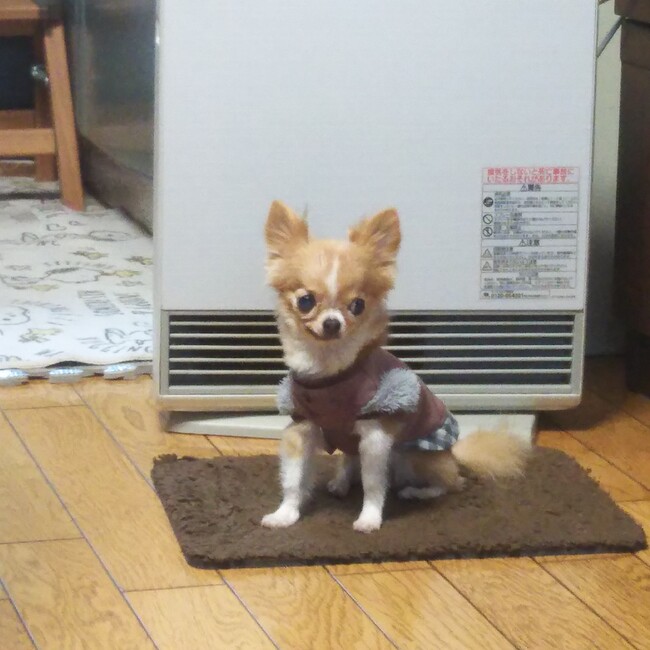 aoumeのカバー写真