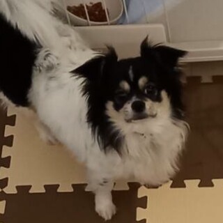 パッチリお目目♡ダイくん