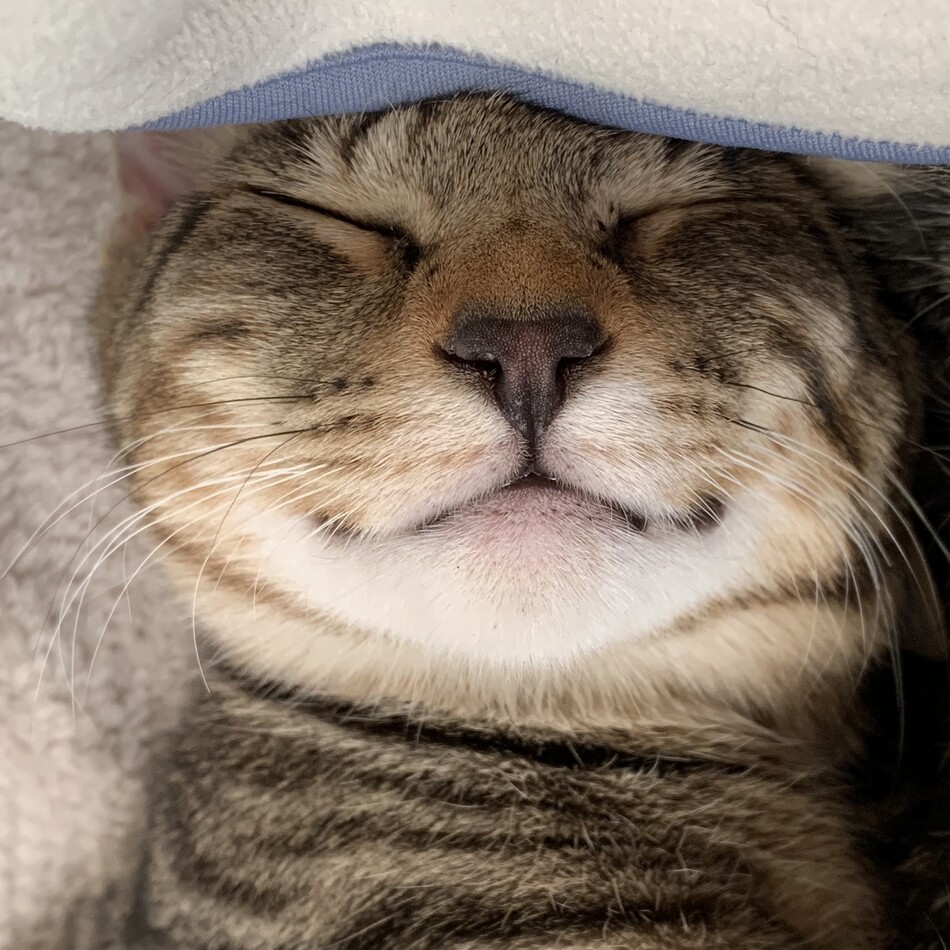 ルークのカバー写真