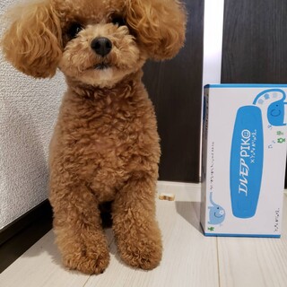 たくさんのご応募頂きましたので一度募集中止します