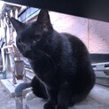 エイズキャリア添い寝大好き