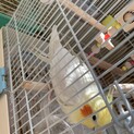 可愛がってくださる方