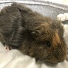 お顔のオレンジがトレードマーク☆