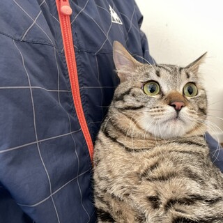 麦です。ゴロゴロスリスリ大好きです。