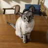 マリちゃん