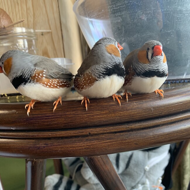 yusiraのカバー写真
