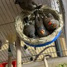 仲良し家族