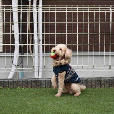 の写真