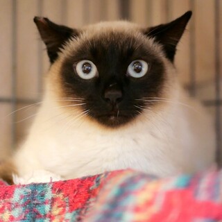 面談予定一時停止、ピエールくん