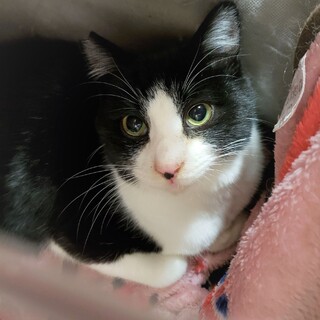 遊ぶの大好き、食いしん坊の男の子