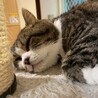 くずゆ