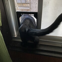 「ユズコさん、ご飯台やて」サムネイル3