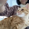 可愛いチャチャちゃん交渉中 サムネイル5