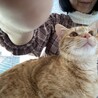 可愛いチャチャちゃん交渉中 サムネイル6