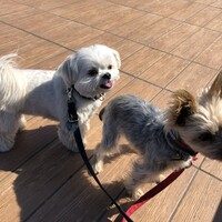天